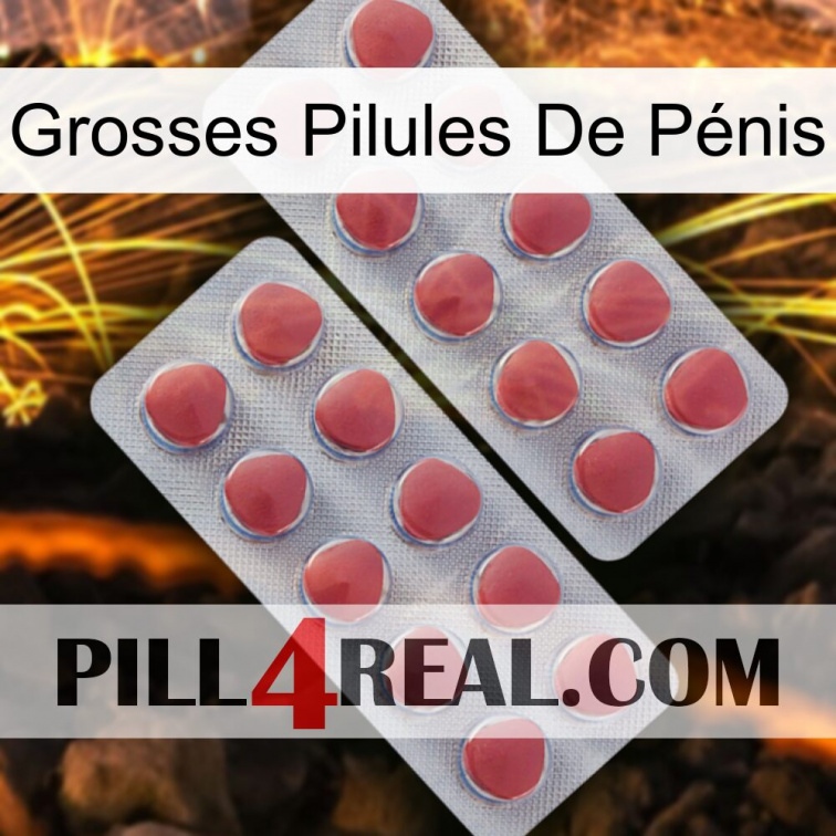 Grosses Pilules De Pénis 19